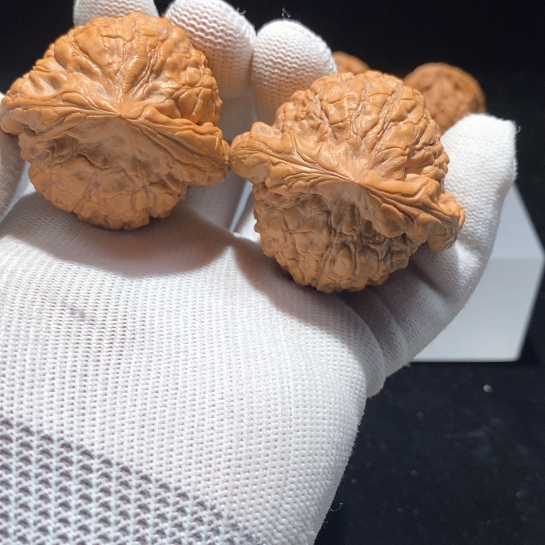 把件文玩核桃B0354龙鼎49（全）