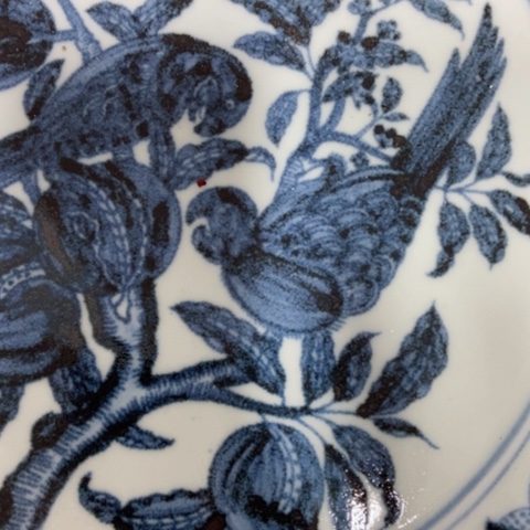 罐阿*我是真的想去看看