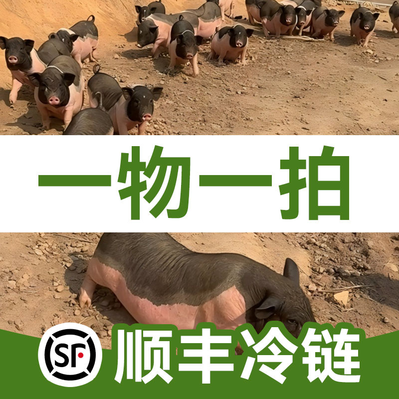 【猪杂】广西陆川猪-（现称改价）重量以直播间为准顺丰冷链