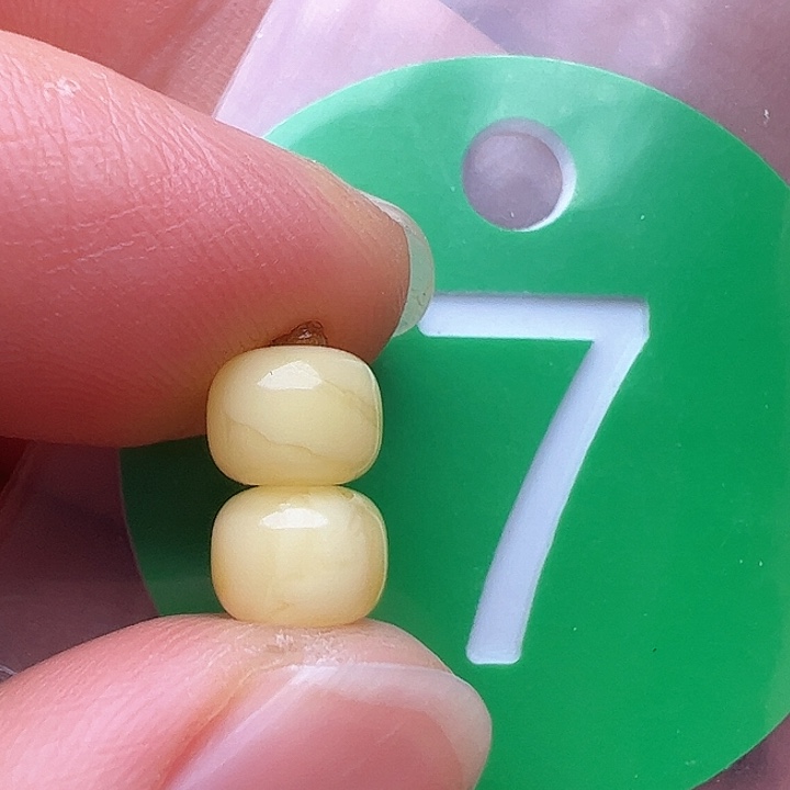 蜜蜡裸石未镶嵌6.2m m