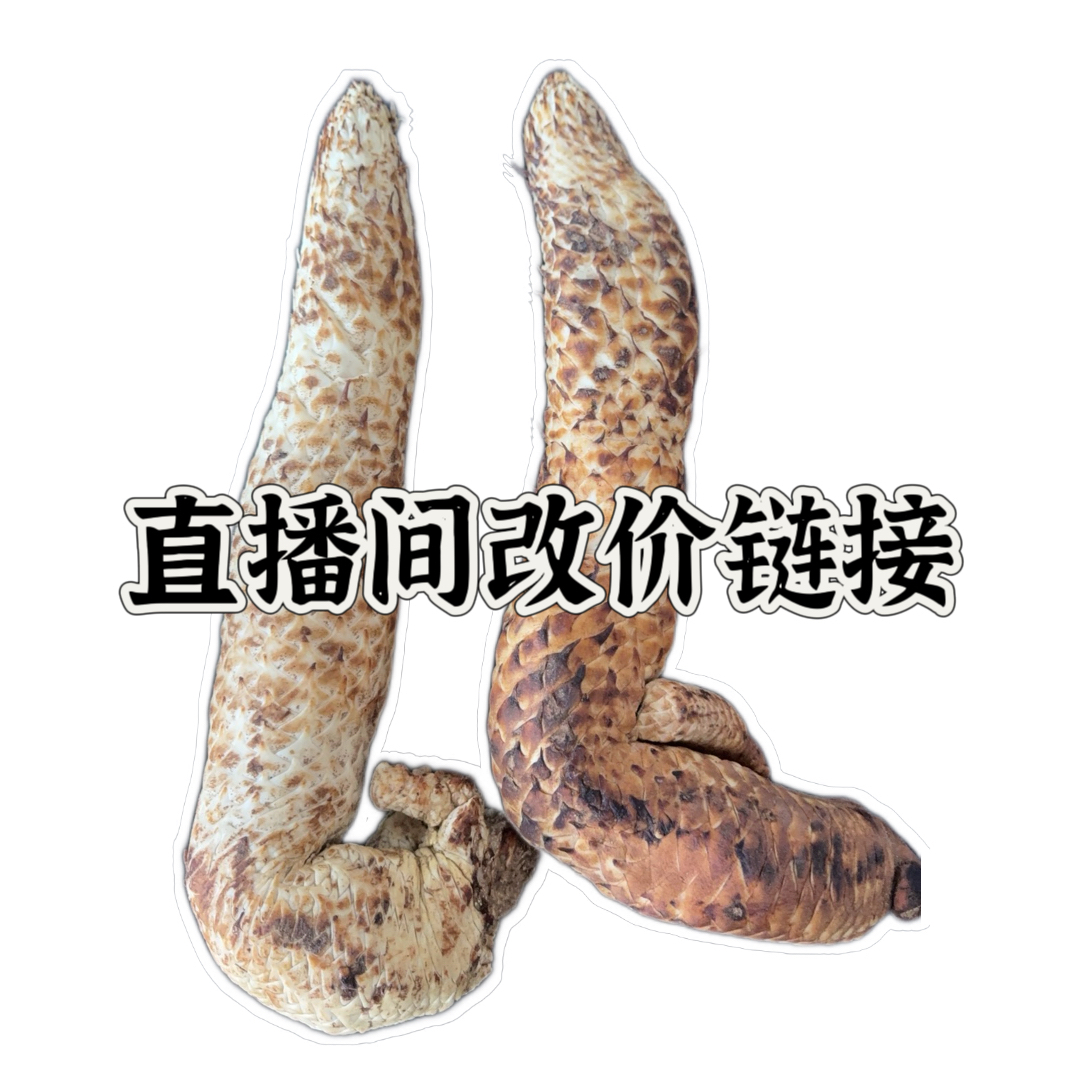 新鲜秋季肉苁蓉 直播改价链接
