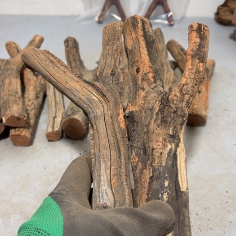 大果紫檀（缅甸花梨）捌*