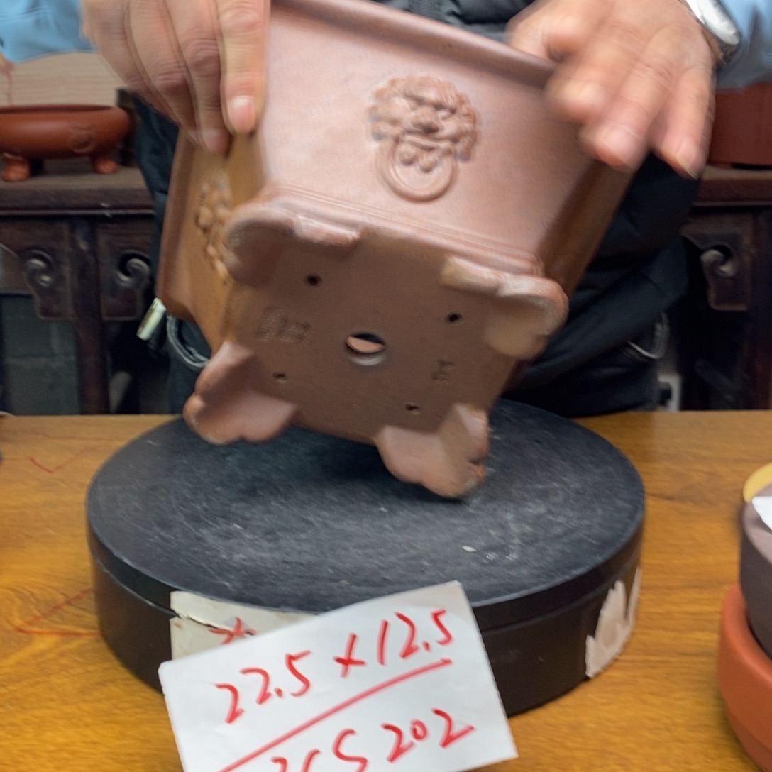 红陶货号一只CS202