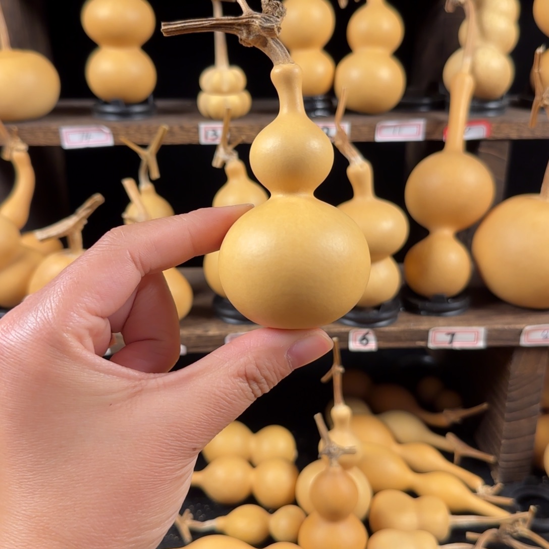 七***我葫芦葫芦葫芦葫芦葫芦葫芦葫芦