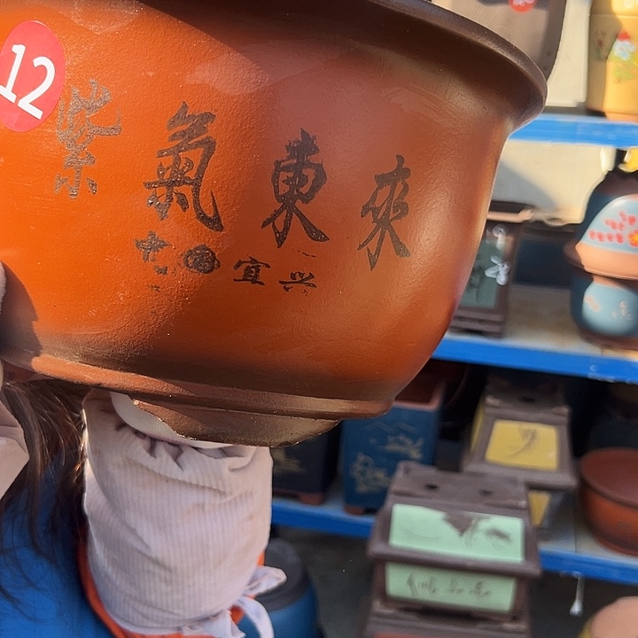 30紫气东来花盆花盆