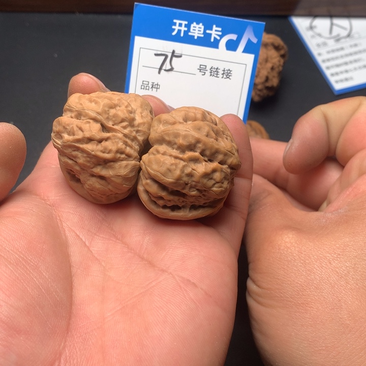 文玩核桃把件40哇哇75