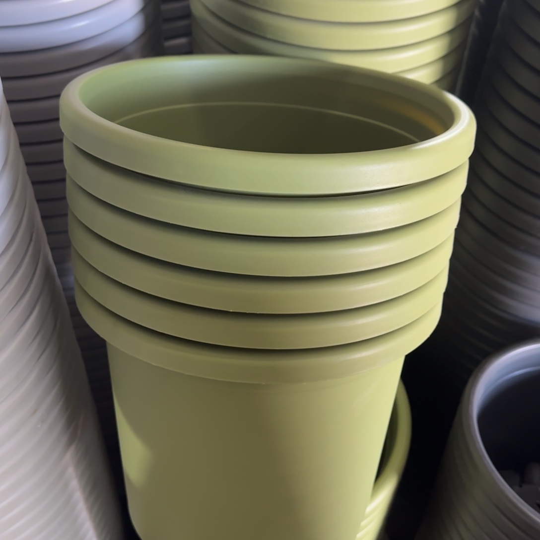 树脂特价5#无拖果绿6个