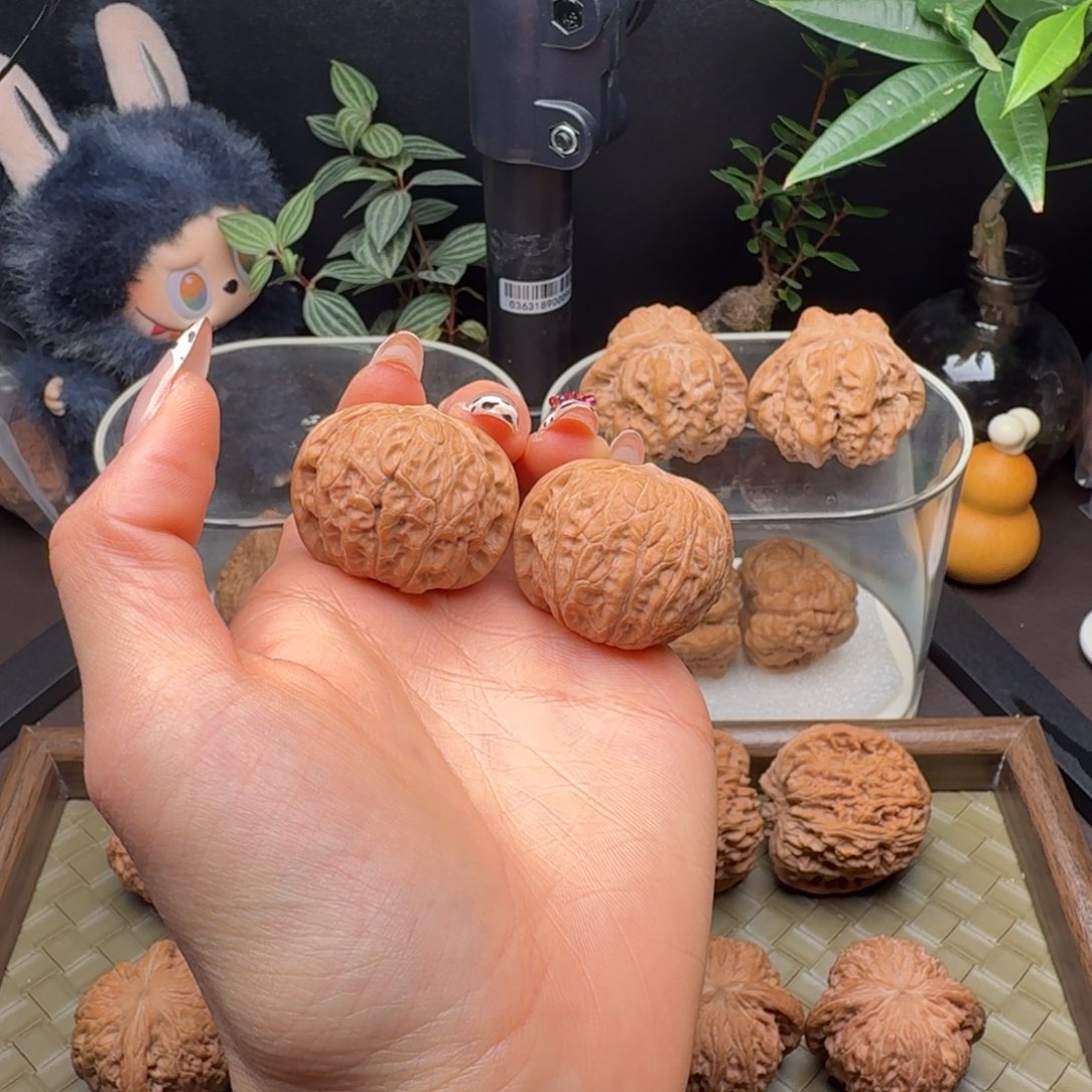 龙脊菩提把件全品乾隆磨36