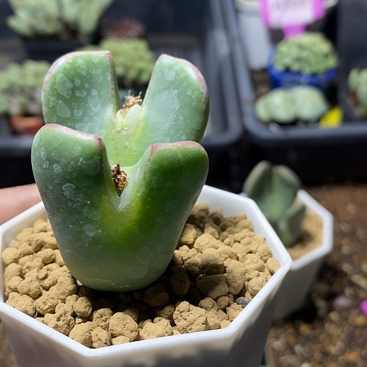 多***贝4039……你也不要给他们添