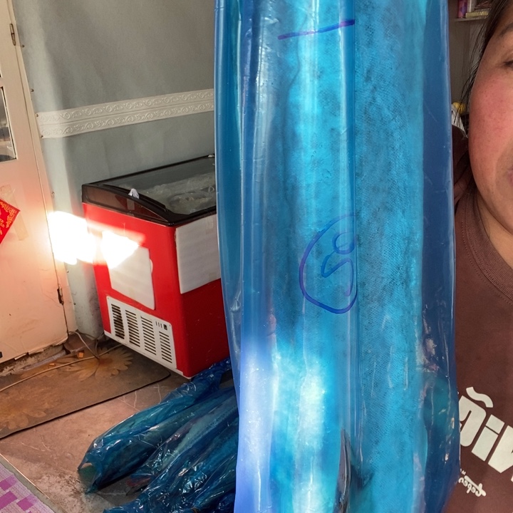 中国大陆渤海湾野生燕鲅鱼20号