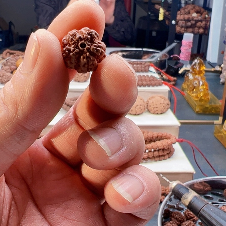 金刚菩提吊坠原生态霸王花17尺寸福利上
