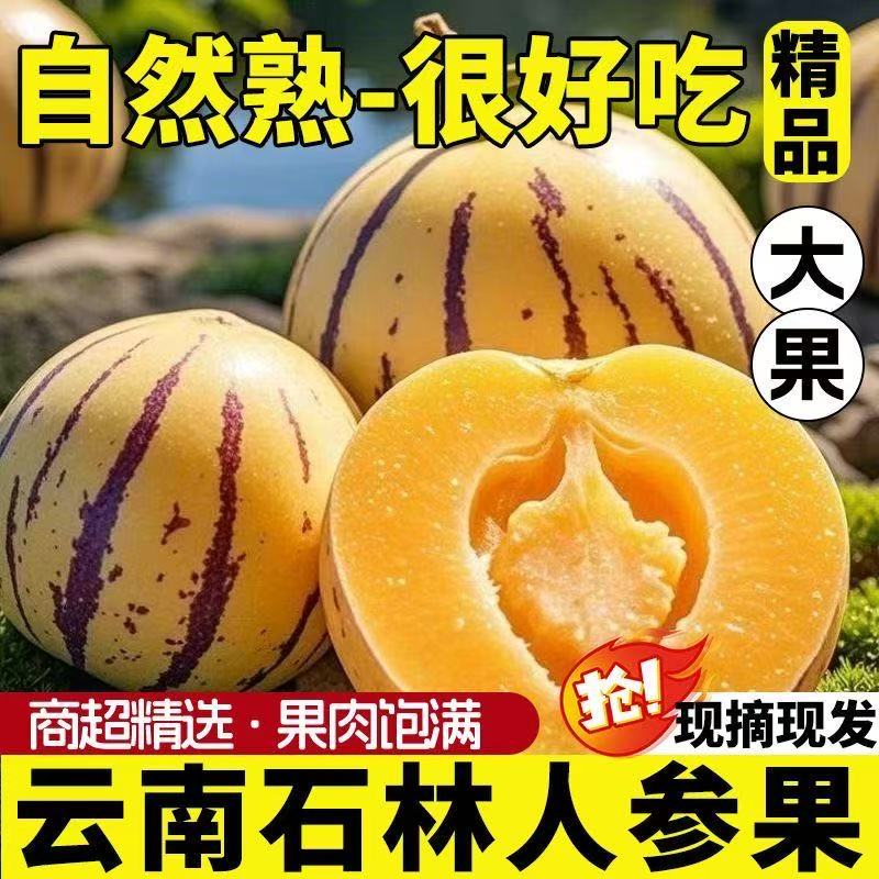 人参果石林果新鲜树熟黄肉圆大皮薄清甜多汁当季水果