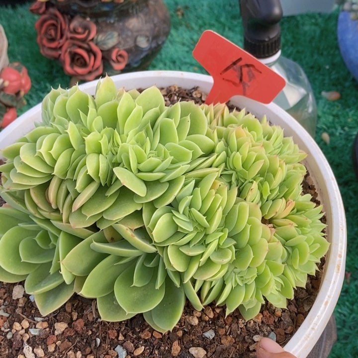 这个我都想看你啊