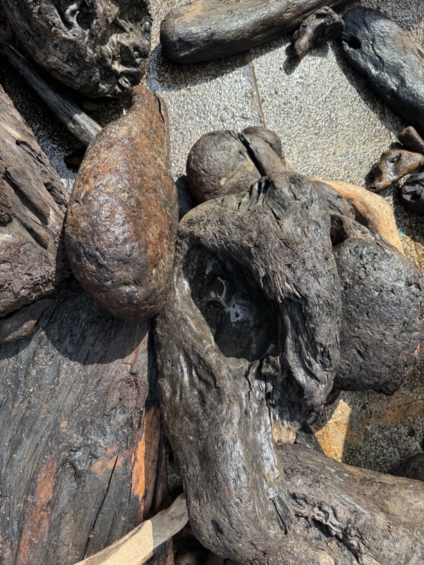 不喜欢许慧欣阴沉木