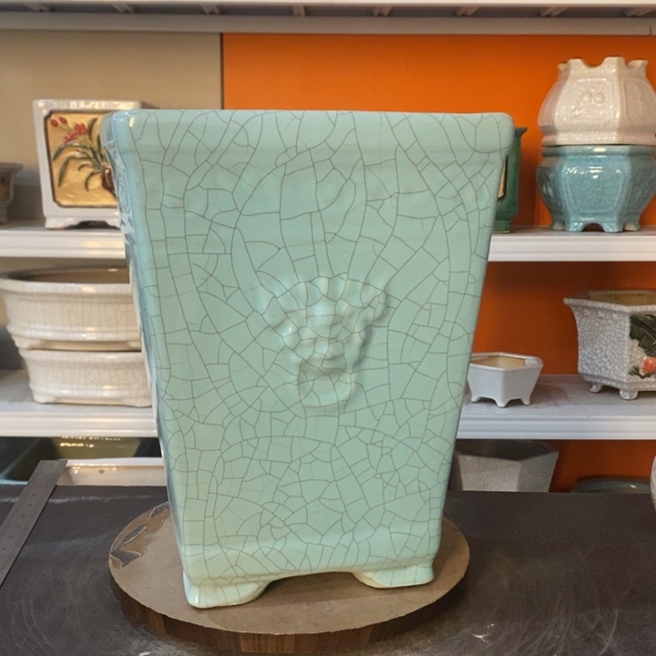 红陶茅****剑花盆里的小猫咪