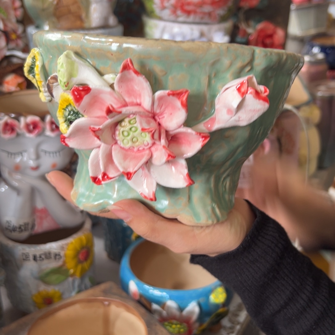 花盆，拍满20发货，退款拉黑