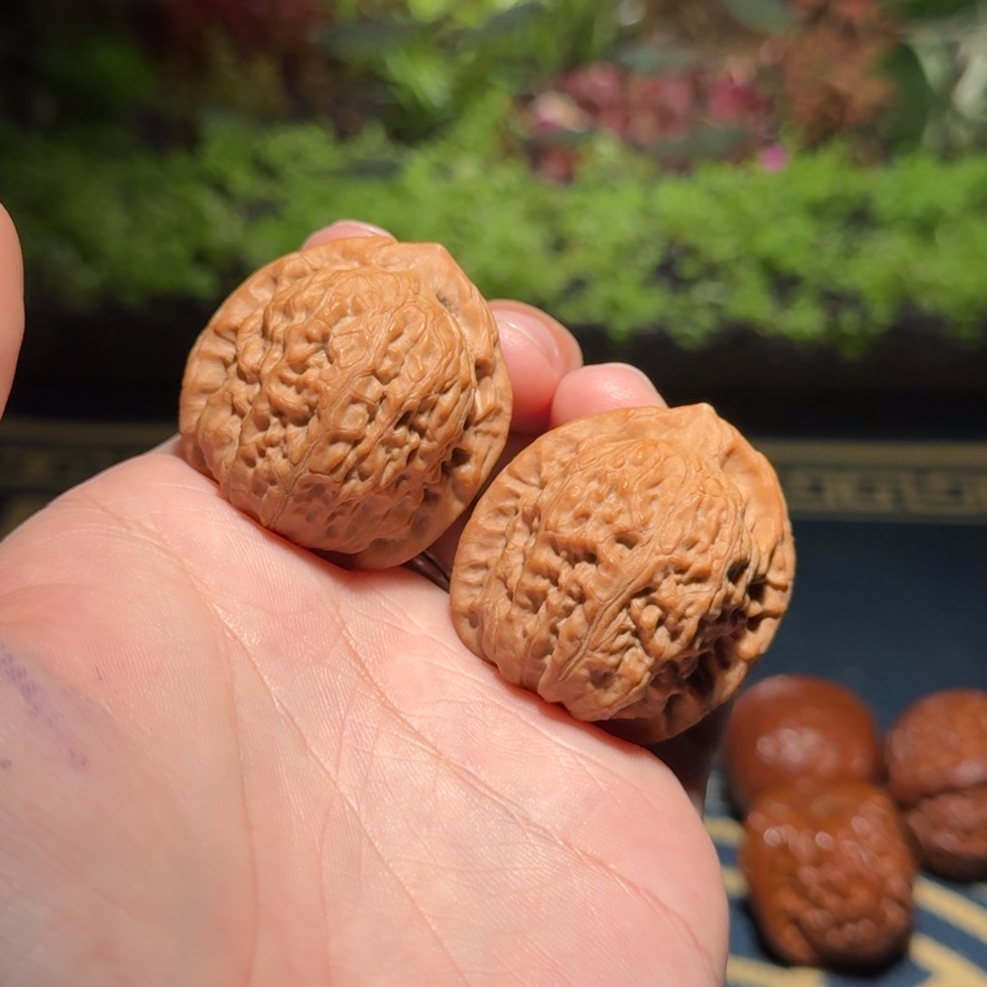 2201号36原树玉观音文玩核桃