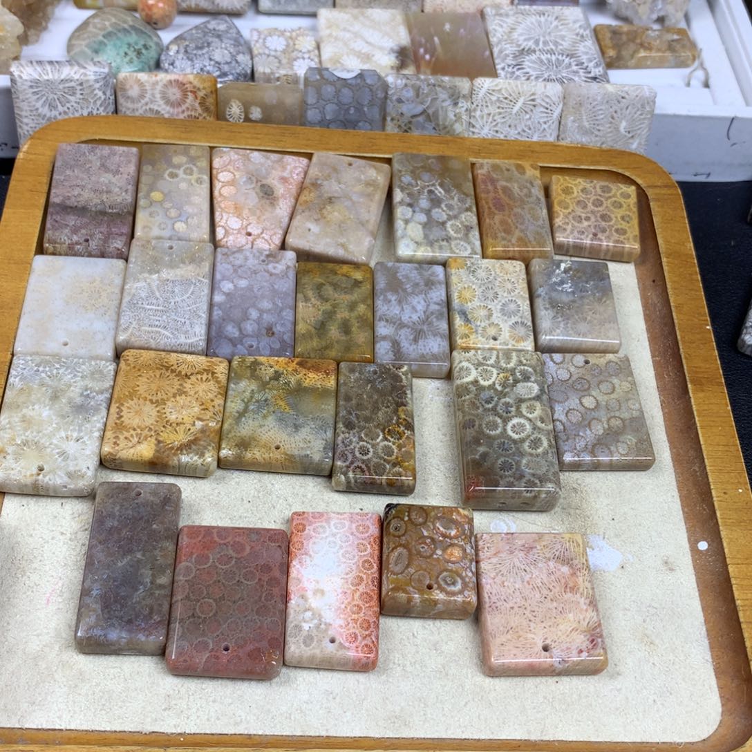 清***卍未镶嵌无硅化珊瑚（珊瑚玉）