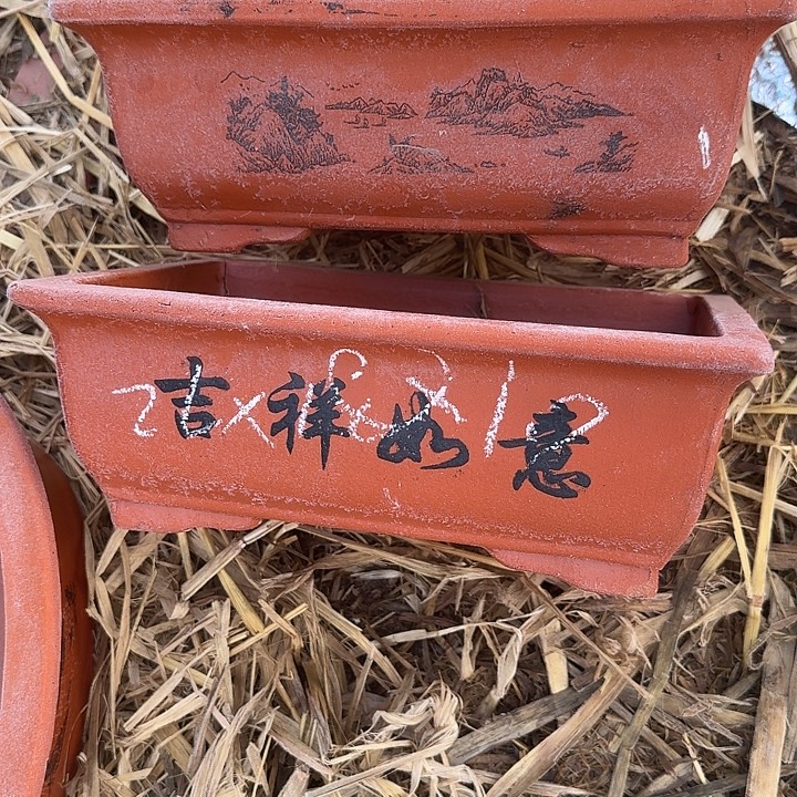紫砂和花木也可以做成盆景了