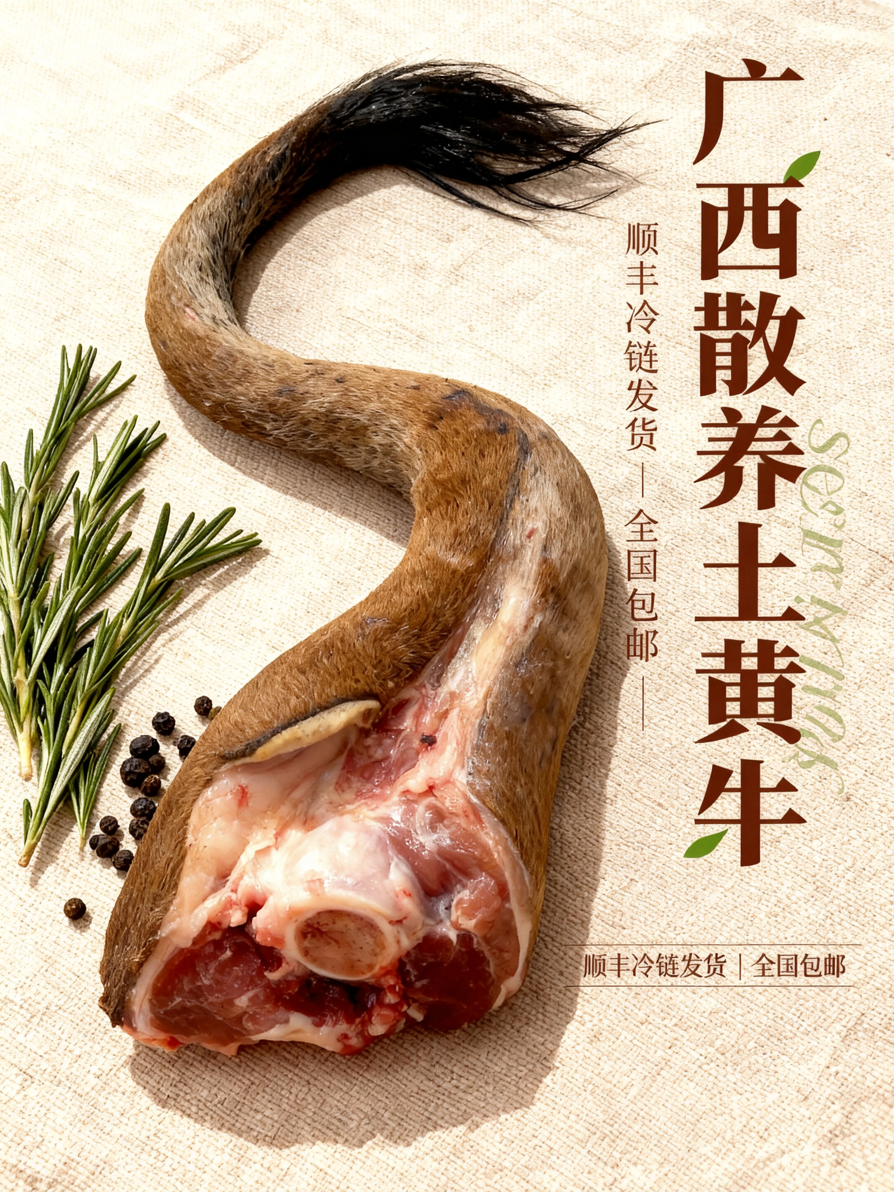 【牛尾巴】3斤起拍以直播间称重为准改价，广西高山原生态散养土黄牛