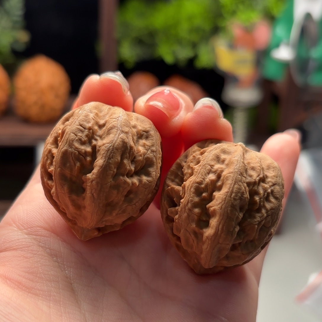 文玩核桃把件小楸千96