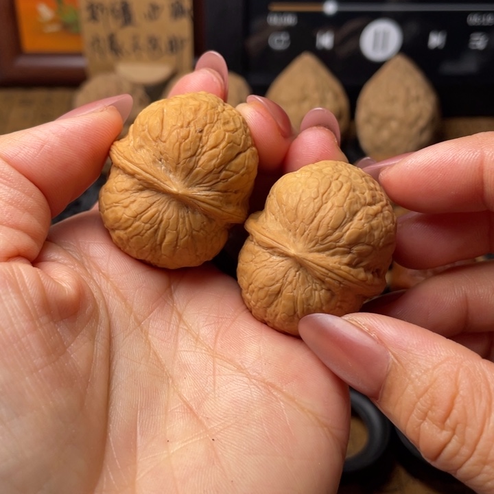 建***哥如图所示一物一拍37