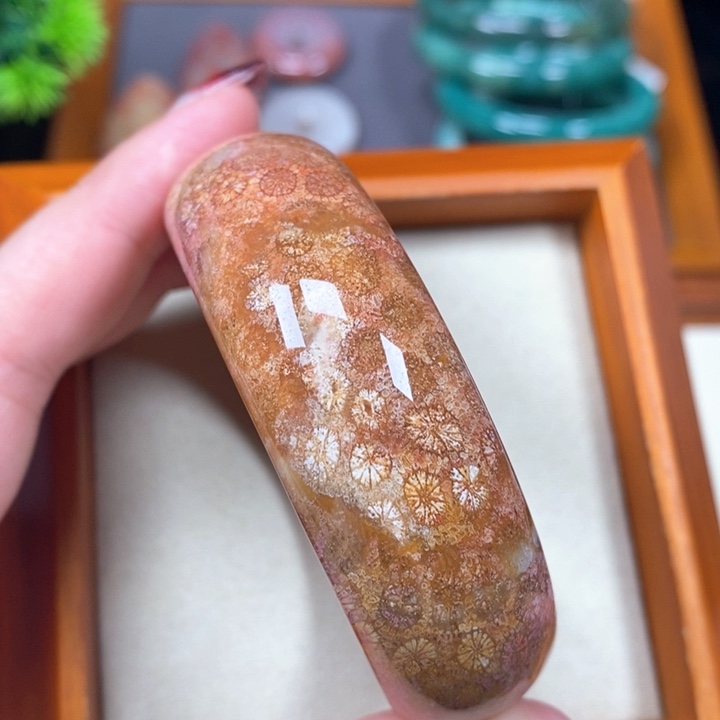 硅化珊瑚（珊瑚玉）手镯未镶嵌54.5