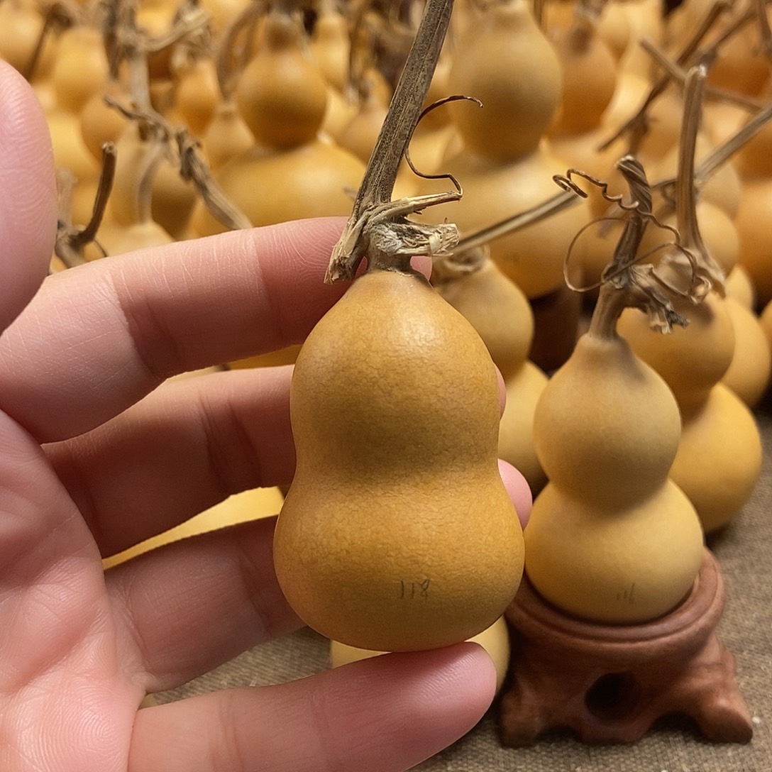 文玩葫芦 完美主义者 慎拍118