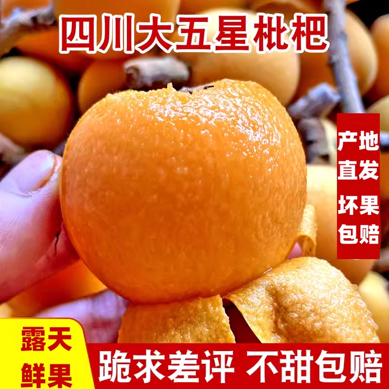 【四川大五星枇杷】Hz正宗土琵琶新鲜采摘果农直销直发坏果包赔K