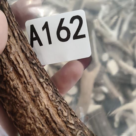 无***7鹿角鹿角鹿角鹿角鹿角鹿角