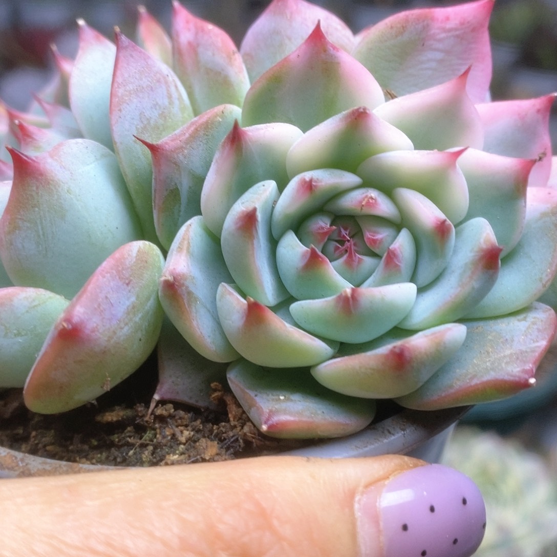 D010哈哈哈哈哈哈哈哈哈