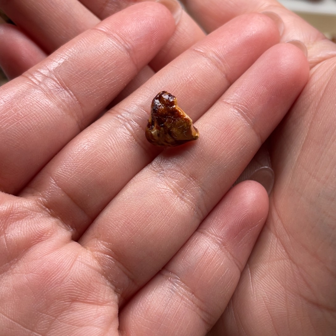 墨***吟定制琥珀未镶嵌天然蜜蜡原石