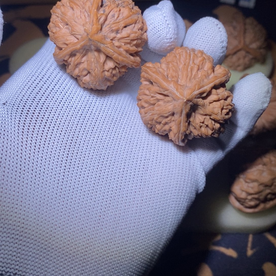 文玩核桃全品福利御龙粗筋40尺寸