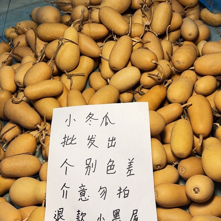 葫芦冬瓜专属链接