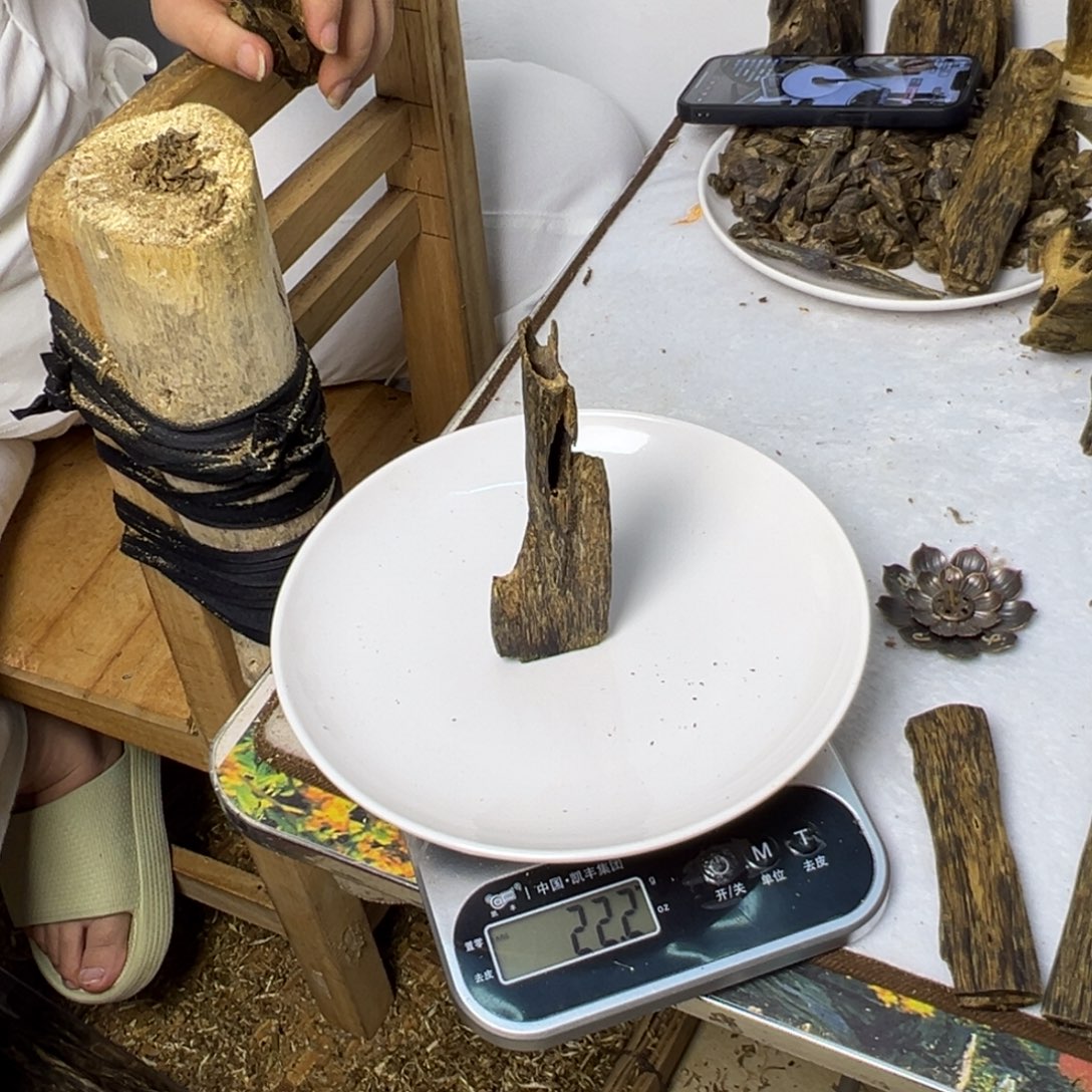 线香奇楠虫漏香22克