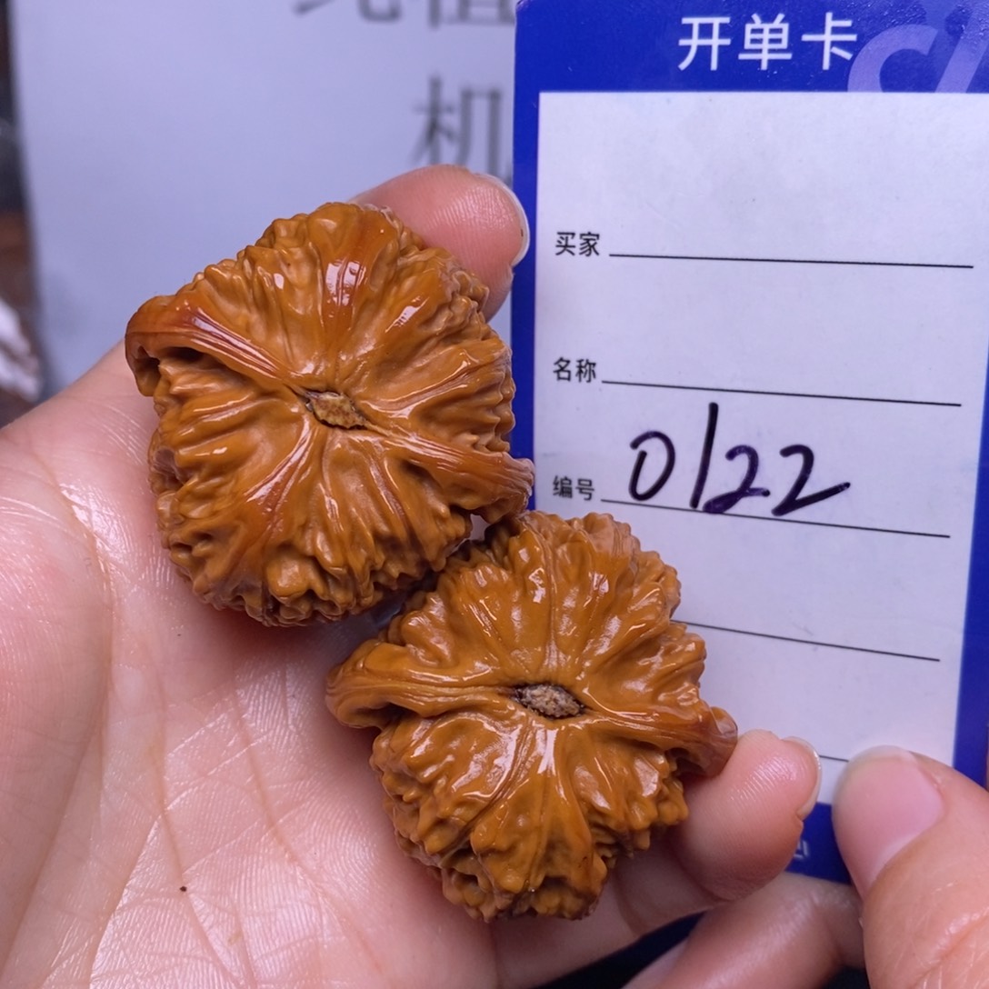 文玩核桃把件0122/39.5白狮子返油福利