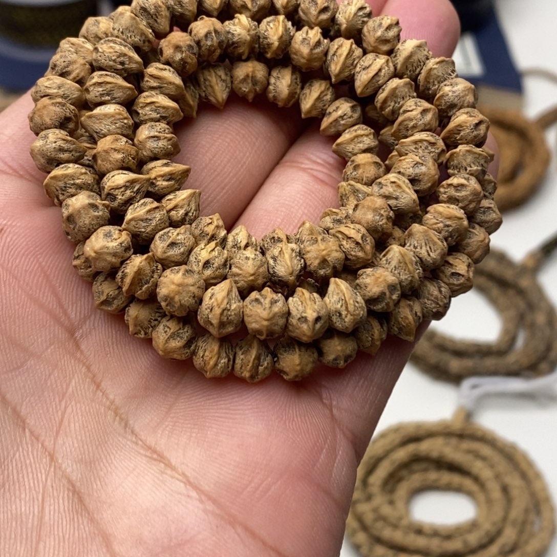 热振柏香籽鸭嘴兽横打108一条