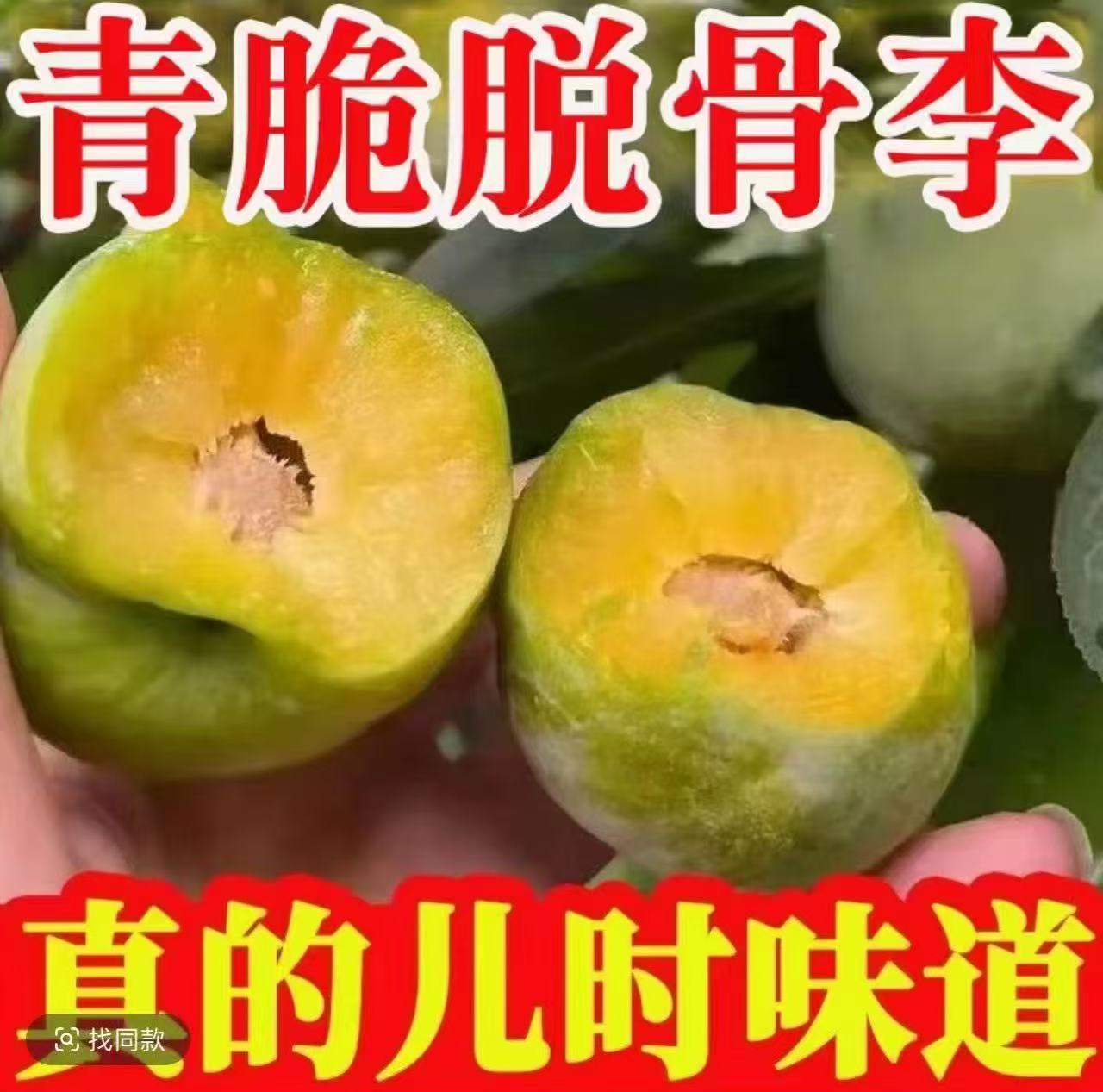 正宗脱骨李农家种植青脆李子新鲜水果脱骨甜脆应当季清脆酸现摘15