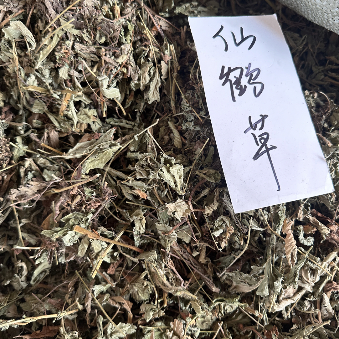 广西本地仙鹤草 青草 仙鹤草