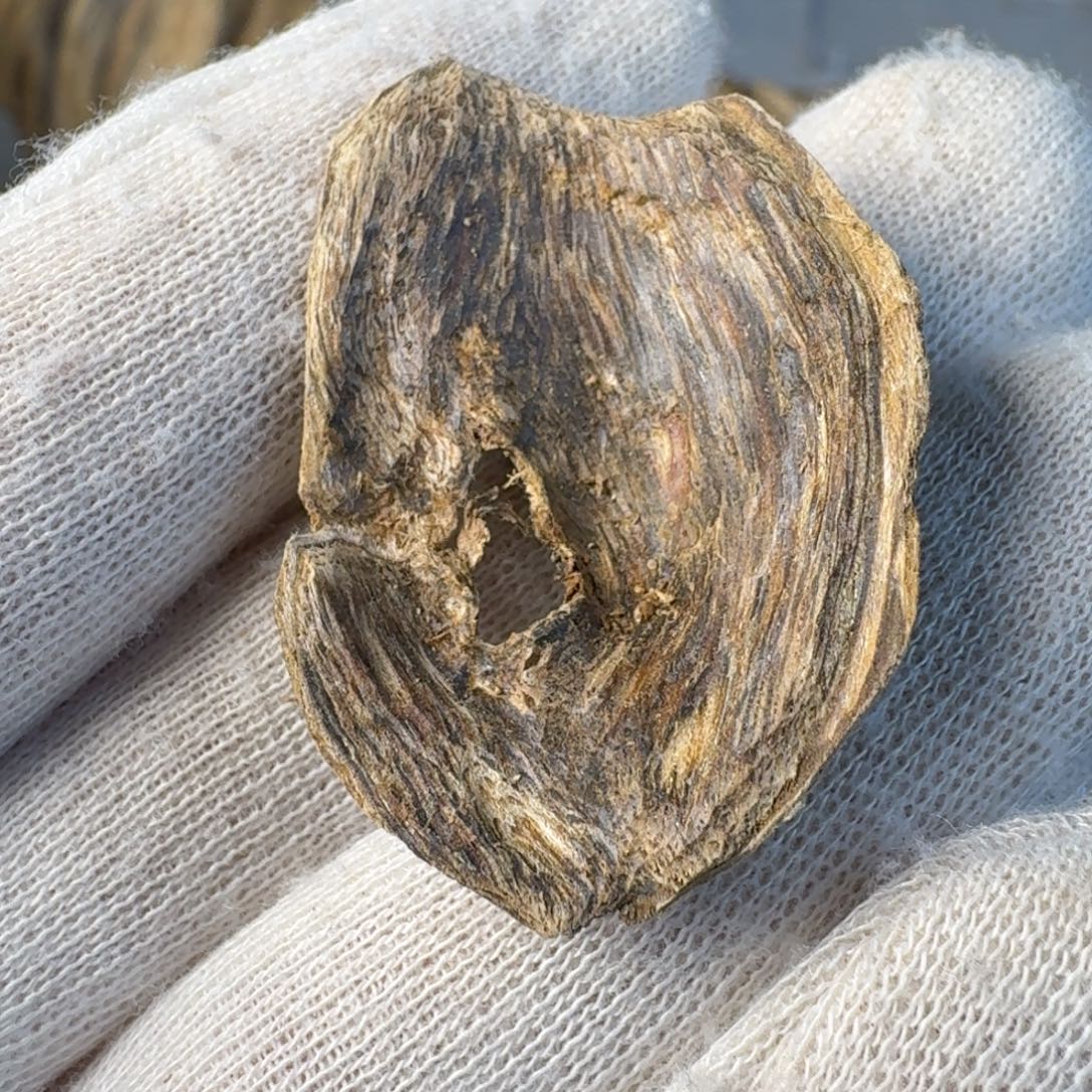 神****沉香碎屑沉香海南沉水虎斑棋1.5克