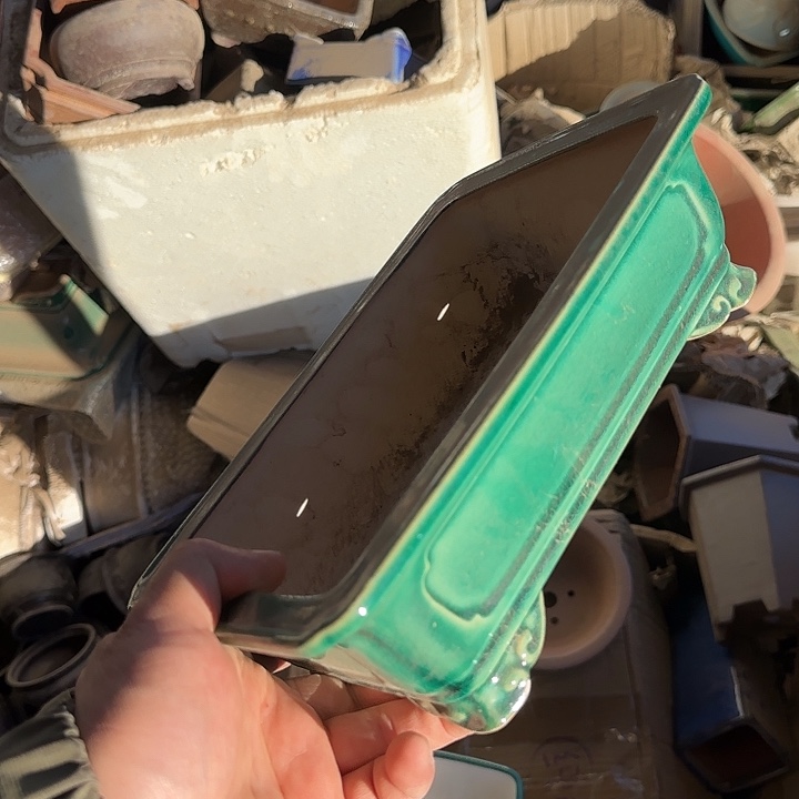 是一个不知名作家与著名导演兼电影演员们