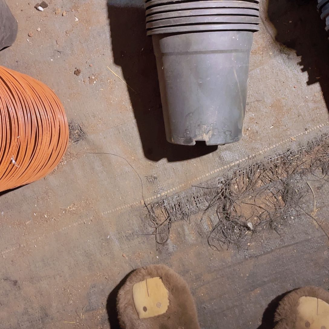 旧口径18高18黑嘉伦盆13个