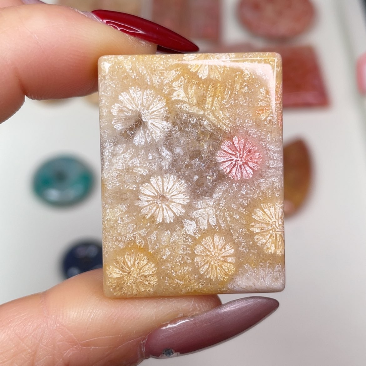 【闪购商品】未镶嵌吊坠(赠链)硅化玉