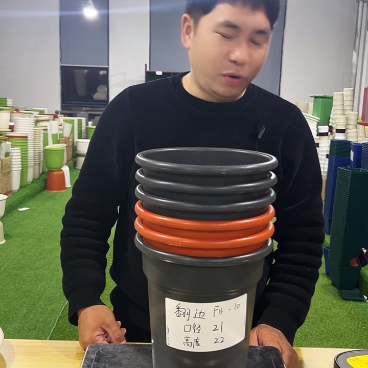 特价翻边口21高22混色6个无托