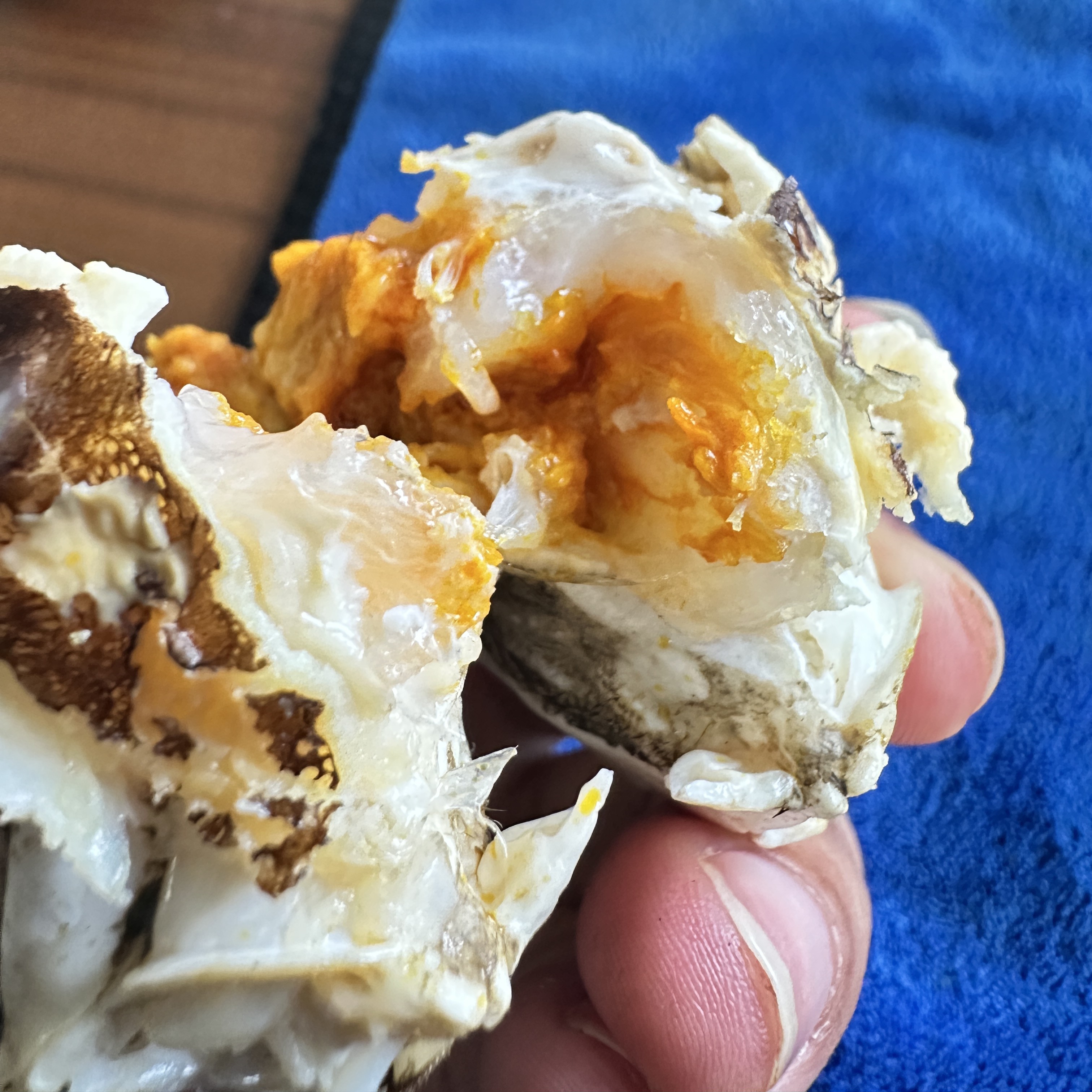 江苏发货（全活公蟹）兴化大闸蟹-3.5两8只装-4两8只装顺丰包邮