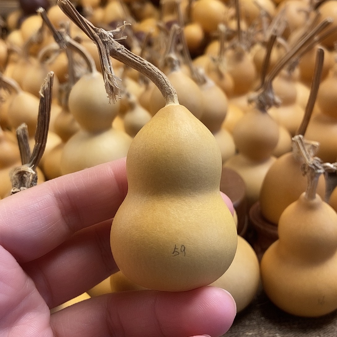 文玩葫芦 完美主义者 慎拍59