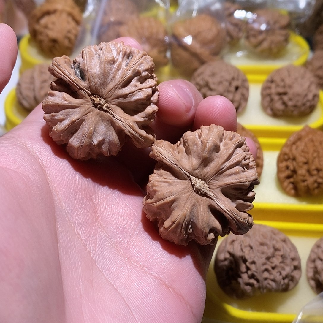 文玩核桃把件41全品白狮子