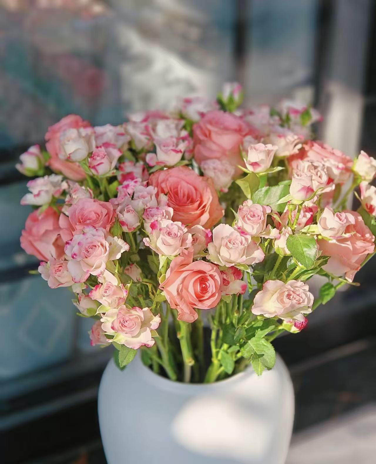 多头折射戴安娜玫瑰组合花束鲜花昆明基地直发售后保障