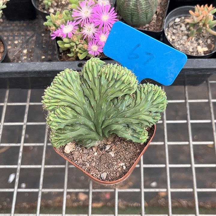 我也不知道我为什么要这样