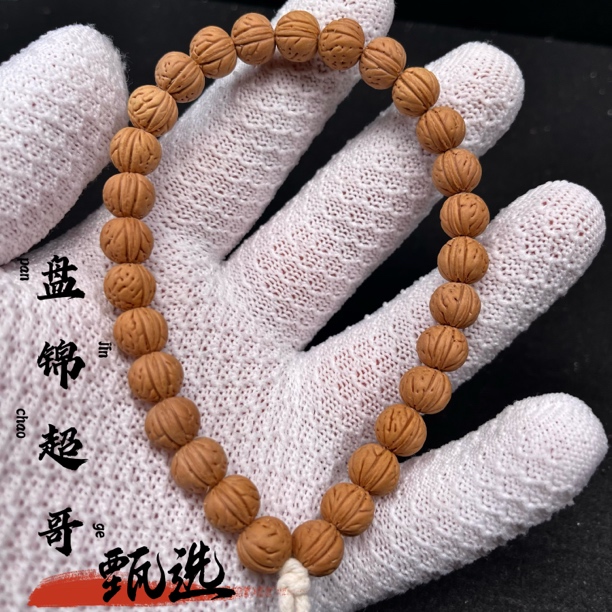  8x9野生肌肉南瓜